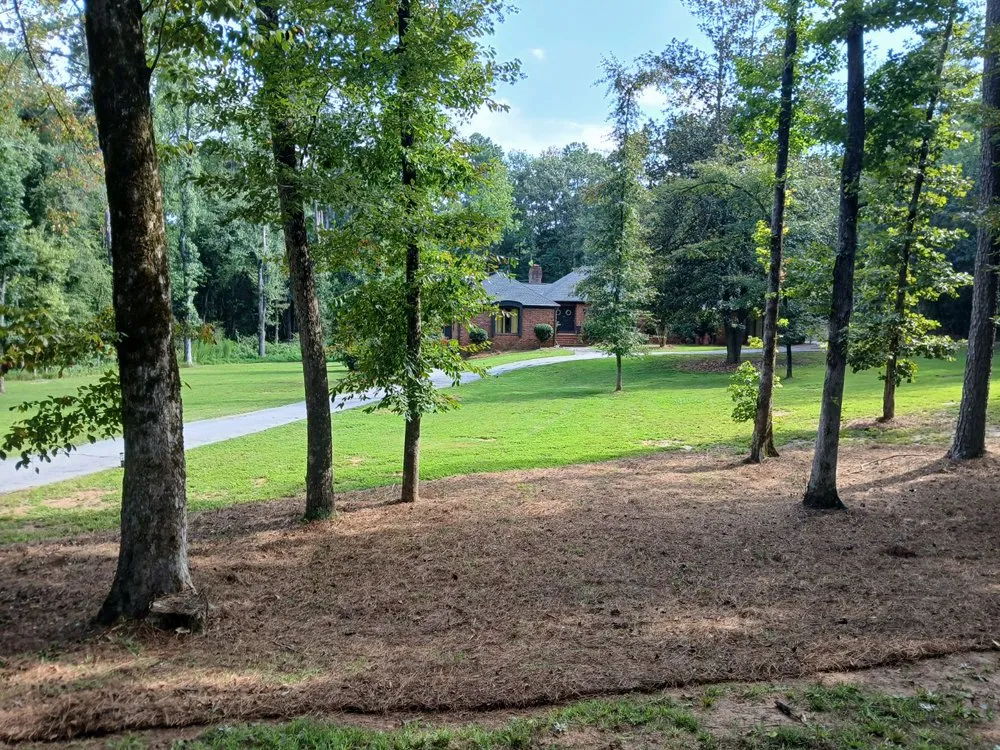 Local residential landscaping experts serving Sparta, GA - Time for A Cut Landscaping