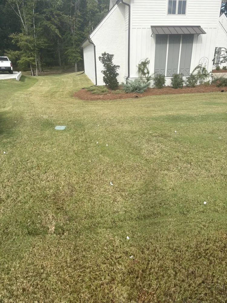 Expert landscape design in Brandon, MS by Time Out Lawncare