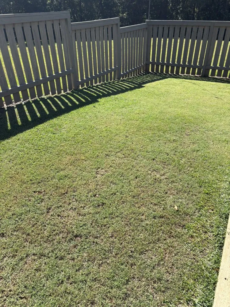Custom yard maintenance with custom design across Brandon, MS - Time Out Lawncare