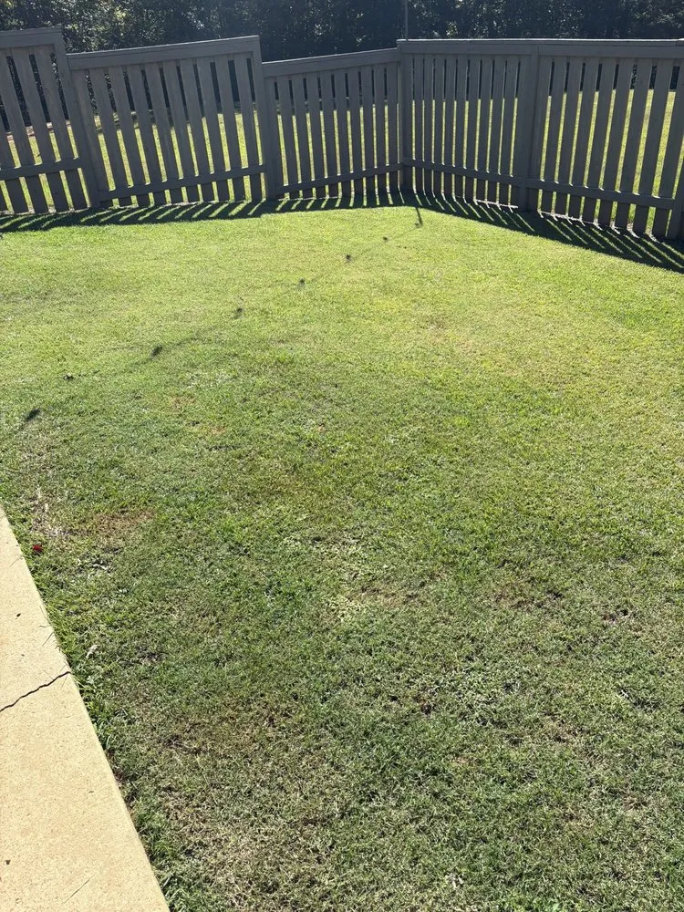 Top-rated yard cleanup service for year-round maintenance in Brandon, MS by Time Out Lawncare