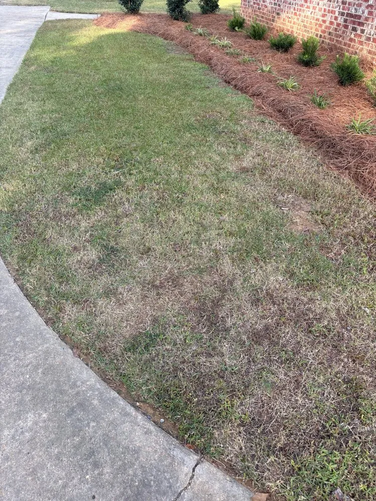 Expert residential landscaping experts serving Brandon, MS - Time Out Lawncare
