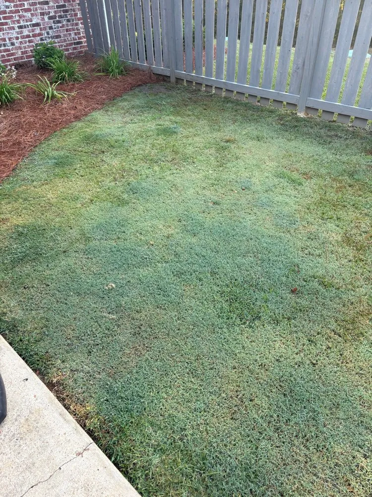 Local landscape installation in Brandon, MS by Time Out Lawncare