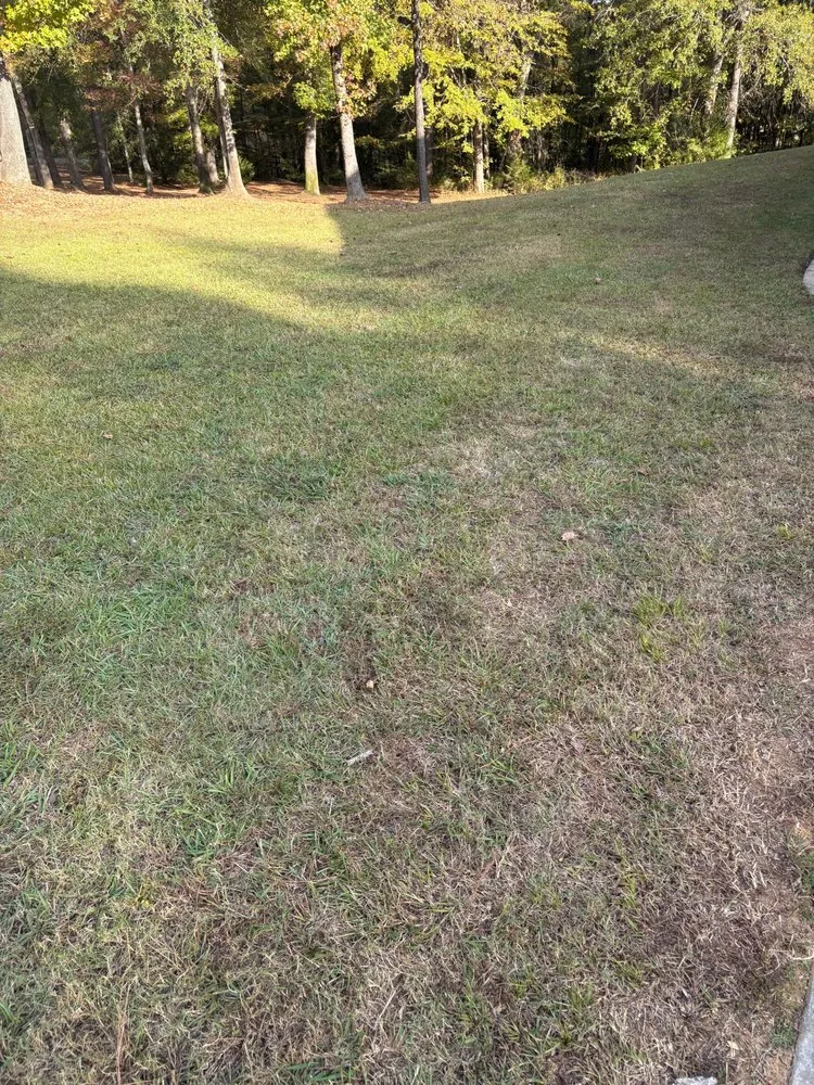 Expert lawn care service in Brandon, MS - Time Out Lawncare