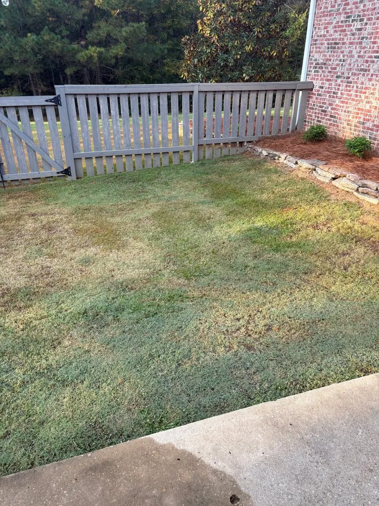 Reliable lawn care service for residential properties across Brandon, MS - Time Out Lawncare