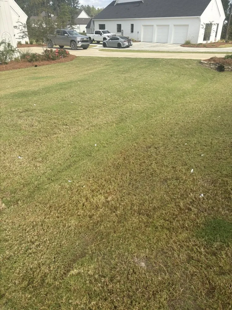 Top-rated outdoor landscaping in Brandon, MS by Time Out Lawncare