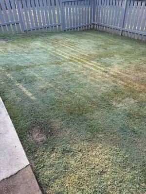 Time Out Lawncare Logo