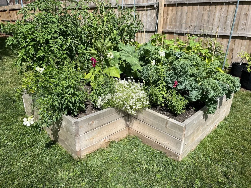 Affordable landscaping services in Telford, PA - Time To Garden