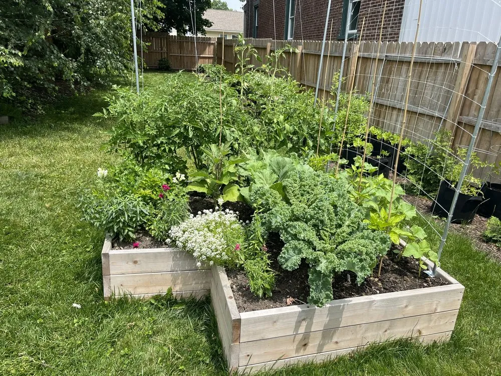 Top-rated lawn care service experts serving Telford, PA - Time To Garden