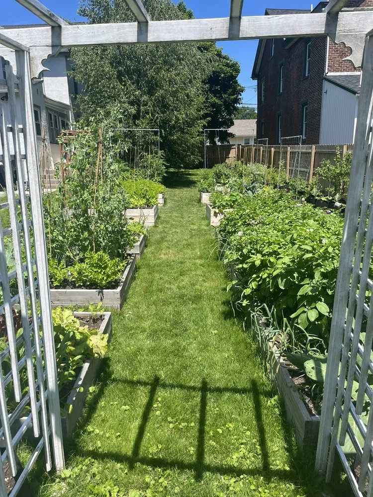 Professional lawn mowing service with custom design across Telford, PA - Time To Garden