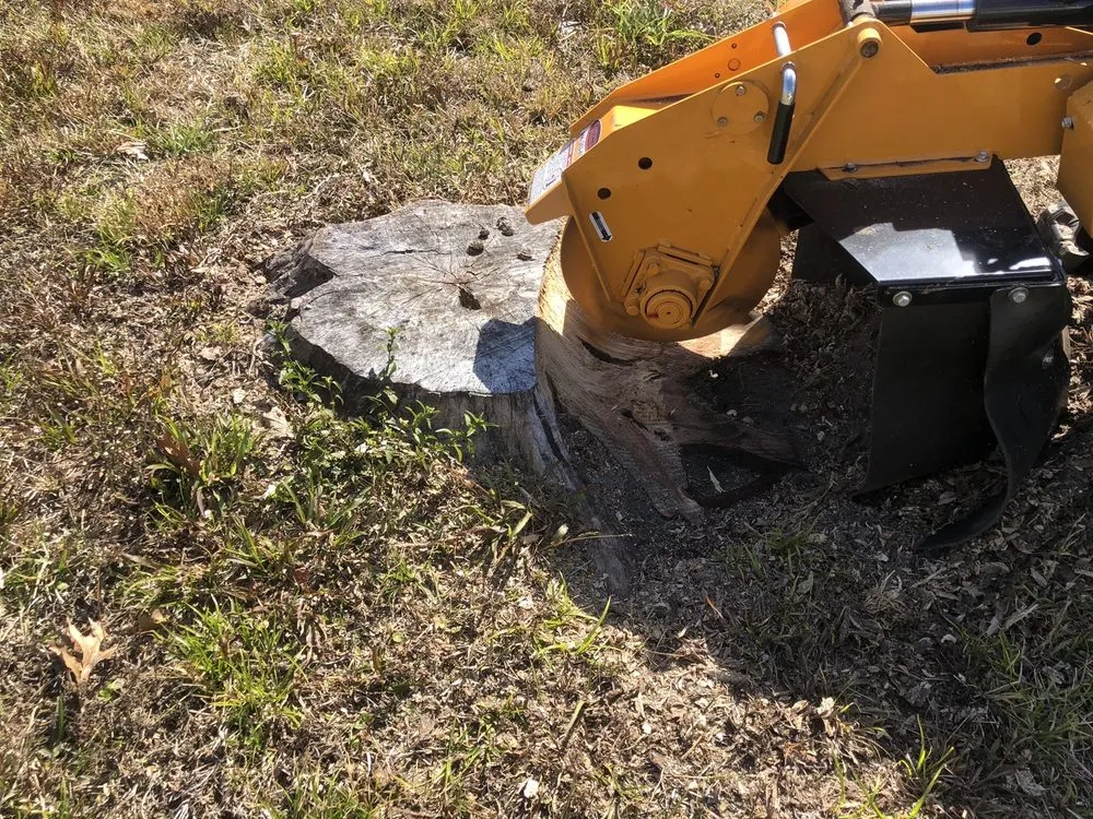 Local lawn care service for homes in Daytona Beach, FL by Time To Grind - Stump Grinding