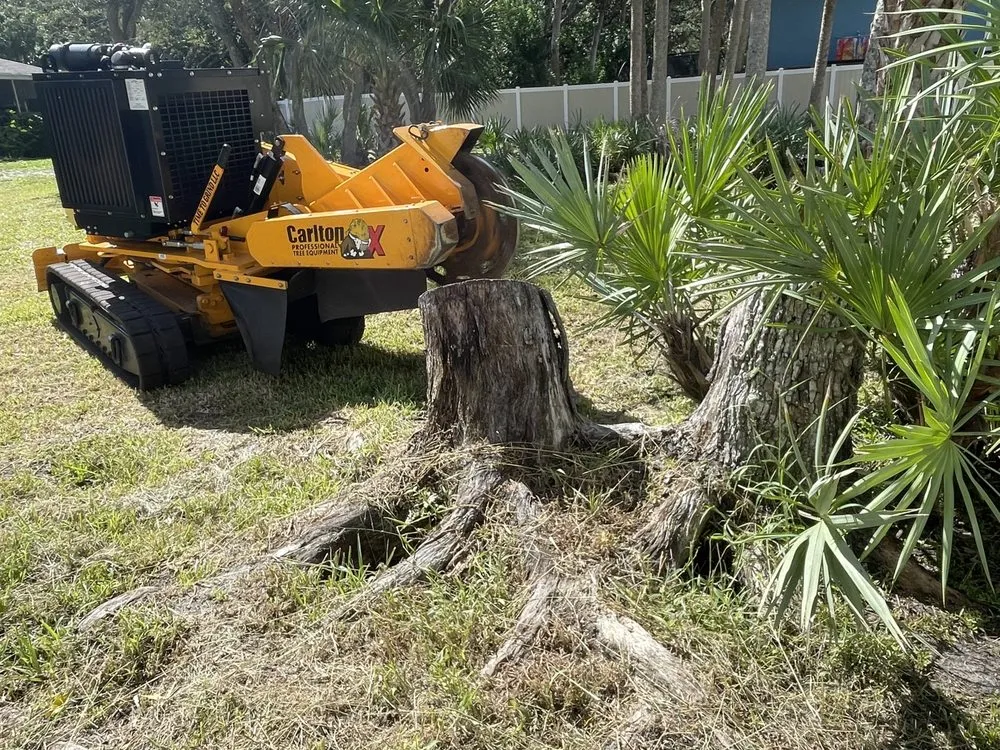 Local landscaping services in Daytona Beach, FL by Time To Grind - Stump Grinding