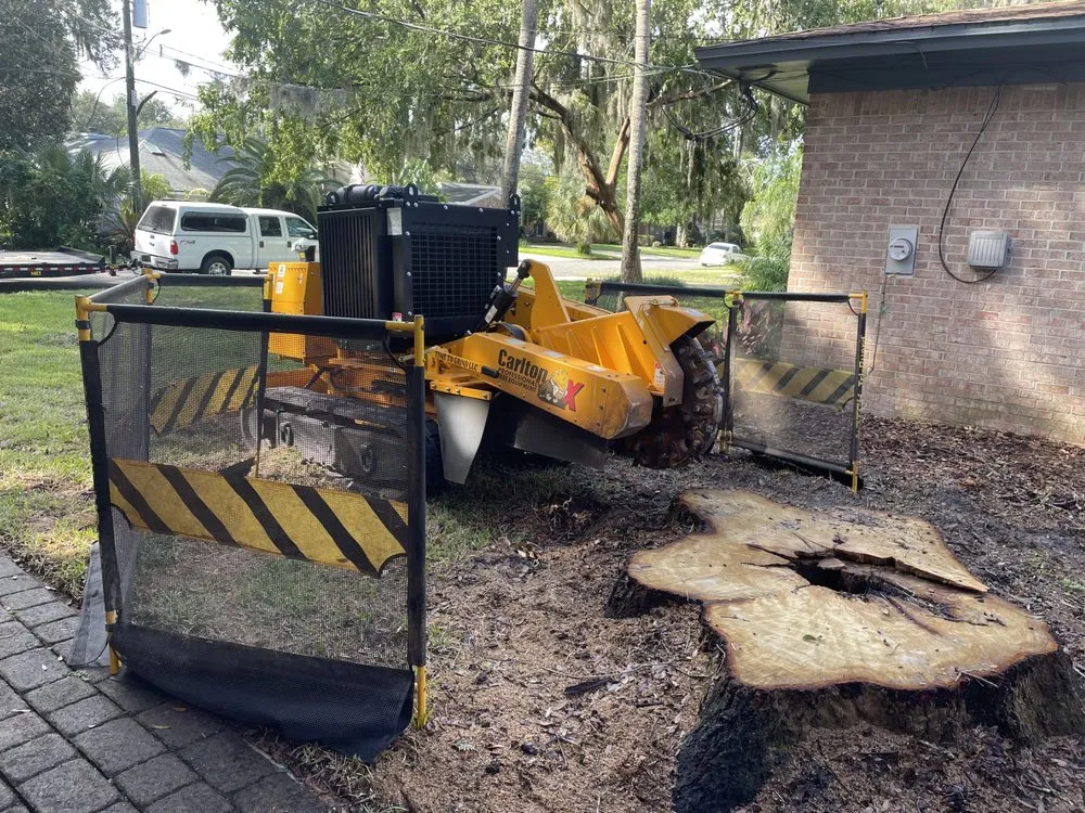 Expert residential landscaping in Daytona Beach, FL by Time To Grind - Stump Grinding