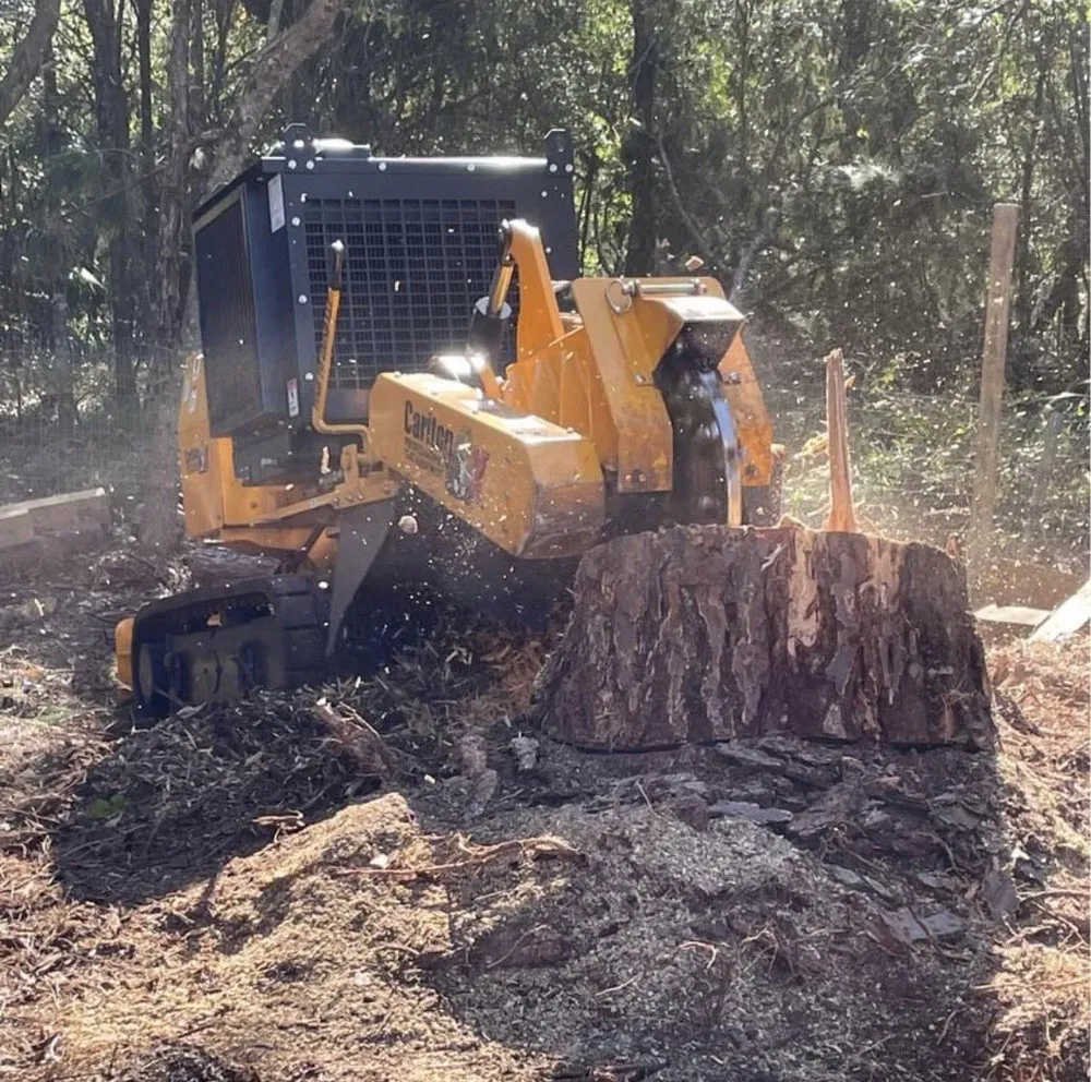Top-rated landscape design in Daytona Beach, FL - Time To Grind - Stump Grinding