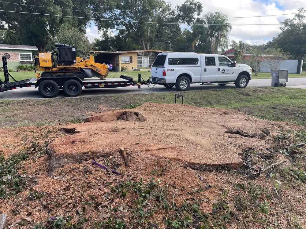 Affordable landscaping services for year-round maintenance in Daytona Beach, FL by Time To Grind - Stump Grinding