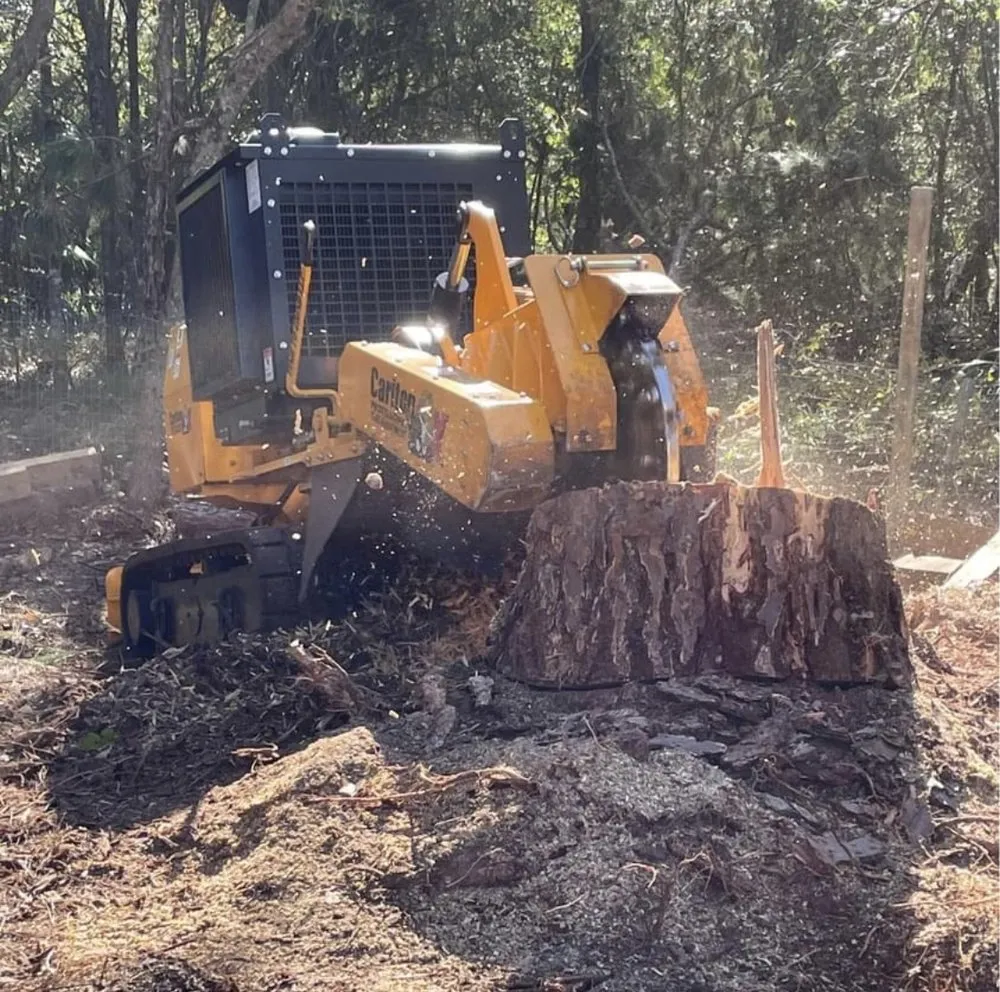 Reliable landscape design experts serving Daytona Beach, FL - Time To Grind - Stump Grinding