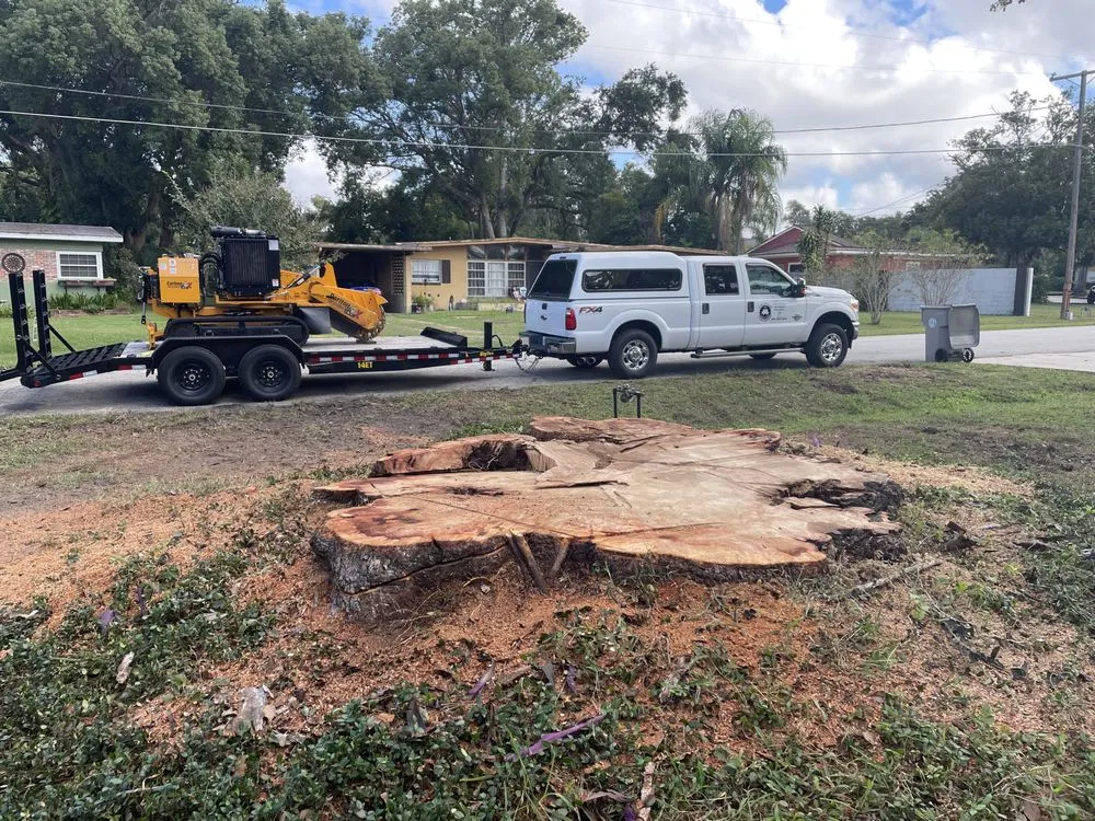 Reliable landscape installation near you across Daytona Beach, FL - Time To Grind - Stump Grinding