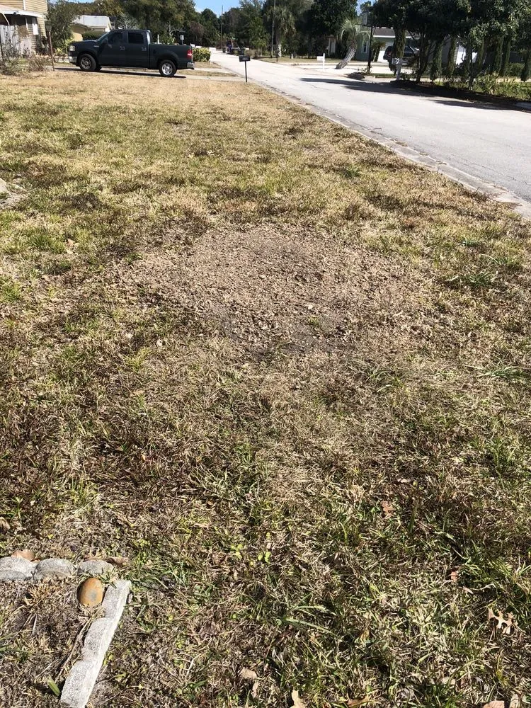 Custom landscape design experts serving Daytona Beach, FL - Time To Grind - Stump Grinding