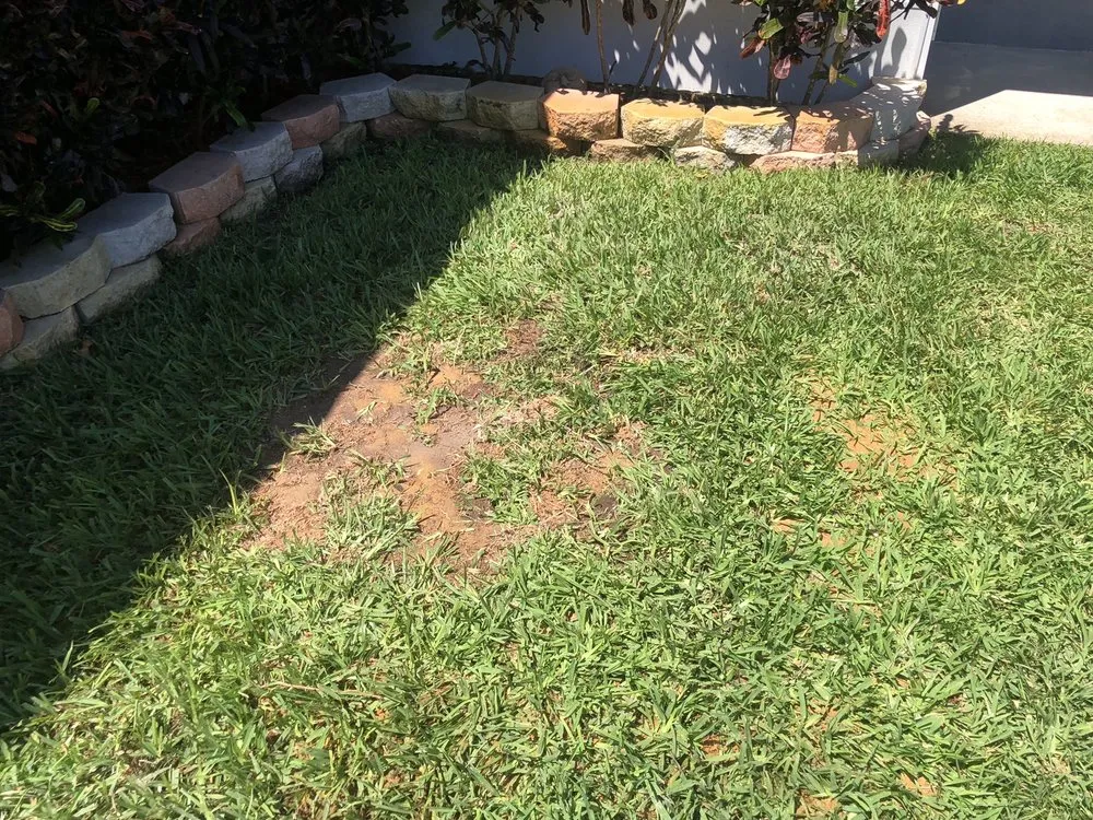 Trusted outdoor landscaping for year-round maintenance across Daytona Beach, FL - Time To Grind - Stump Grinding