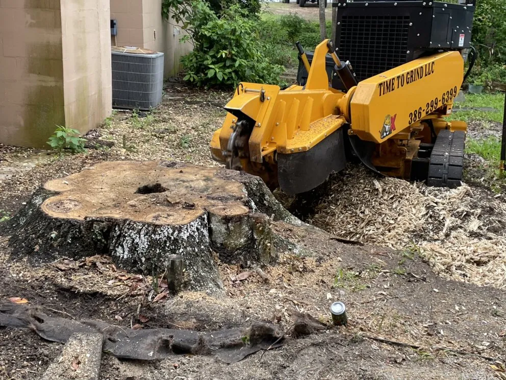 Affordable landscaping services near you across Daytona Beach, FL - Time To Grind - Stump Grinding