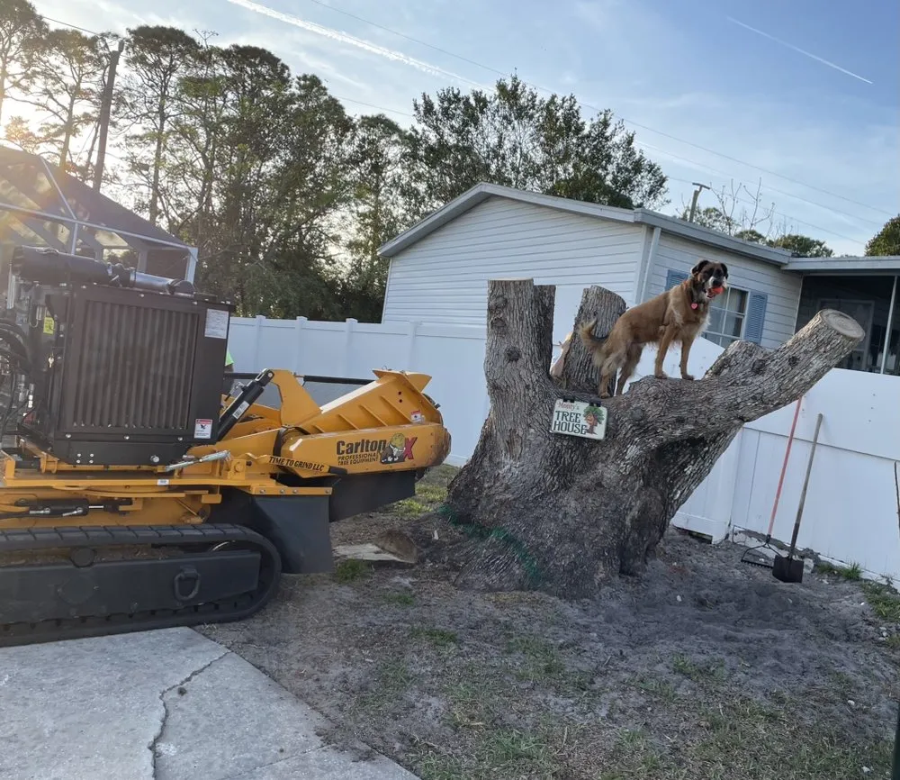 Professional garden landscaping for homes in Daytona Beach, FL by Time To Grind - Stump Grinding