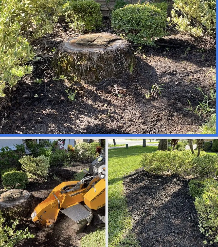 Reliable garden landscaping experts serving Daytona Beach, FL - Time To Grind - Stump Grinding
