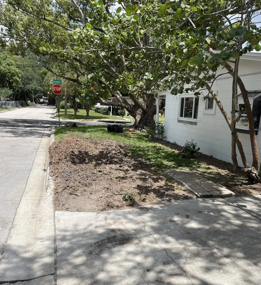 Custom lawn mowing service for year-round maintenance across Daytona Beach, FL - Time To Grind - Stump Grinding