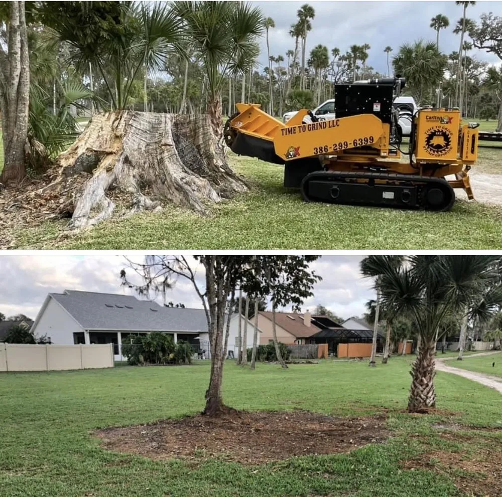 Custom yard cleanup service for residential properties in Daytona Beach, FL by Time To Grind - Stump Grinding
