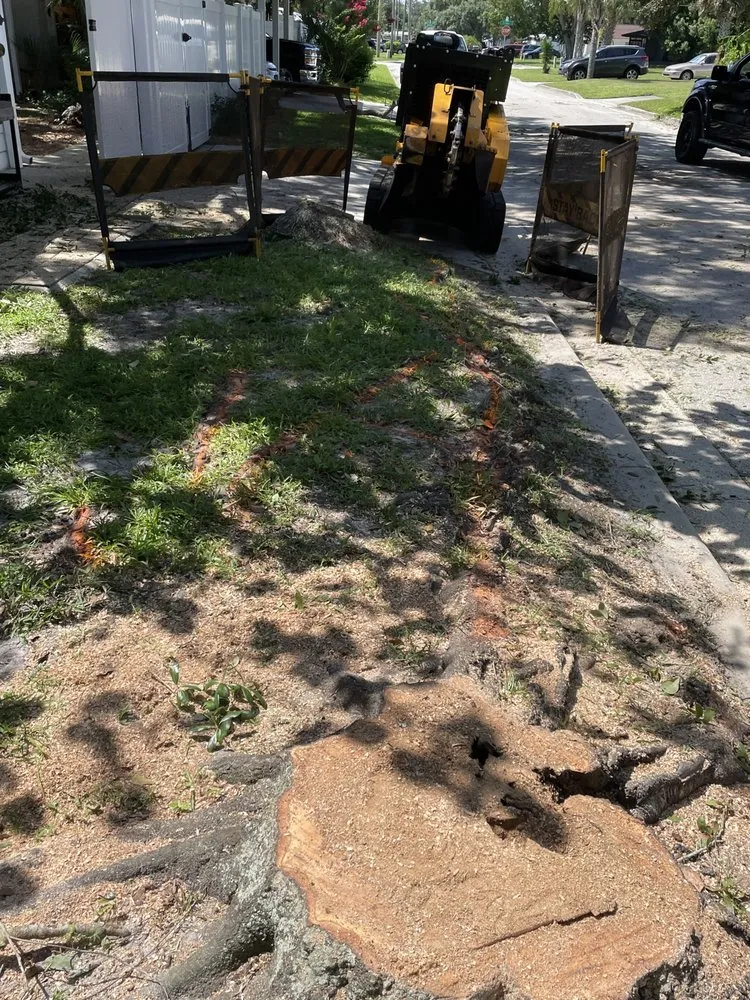 Affordable landscape design in Daytona Beach, FL by Time To Grind - Stump Grinding