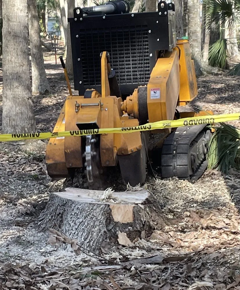 Expert lawn mowing service in Daytona Beach, FL - Time To Grind - Stump Grinding