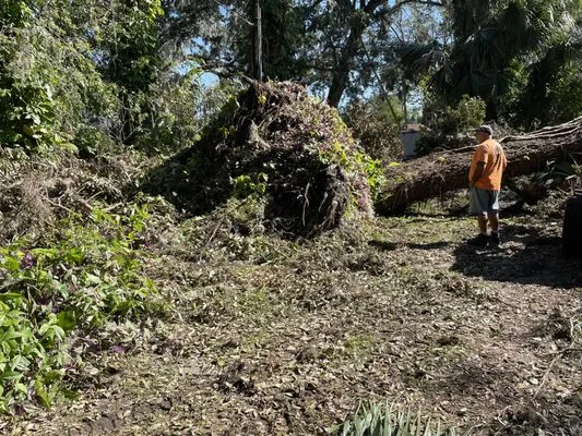 Time To Grind - Stump Grinding Logo
