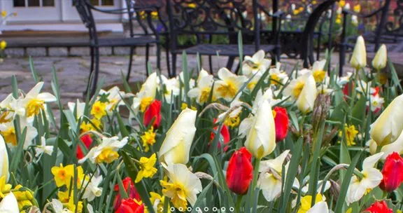 Professional yard cleanup service for year-round maintenance across Hopewell Junction, NY - Timeless Gardens NY