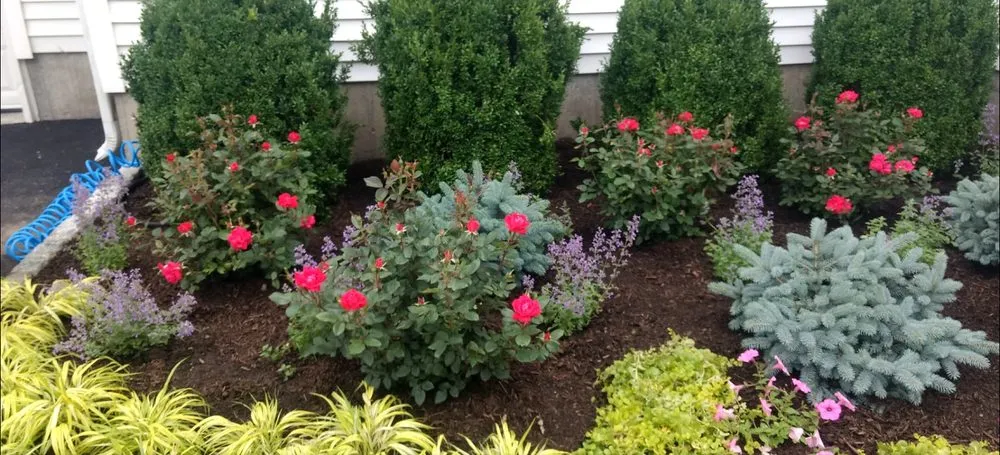 Top-rated outdoor landscaping with custom design across Hopewell Junction, NY - Timeless Gardens NY