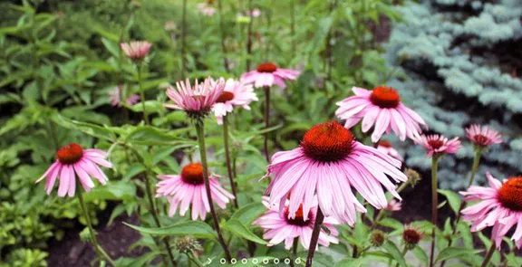 Expert residential landscaping for year-round maintenance across Hopewell Junction, NY - Timeless Gardens NY