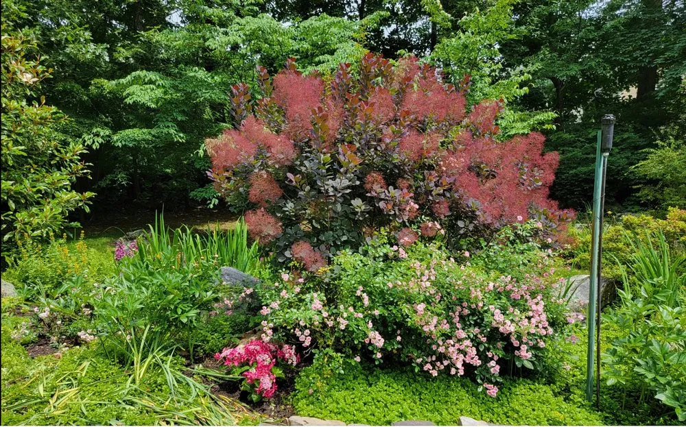 Custom landscaping services for residential properties in Hopewell Junction, NY by Timeless Gardens NY