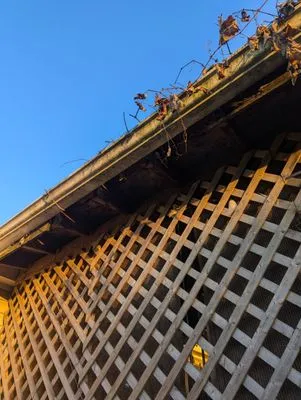 Timeless Property Maintenance