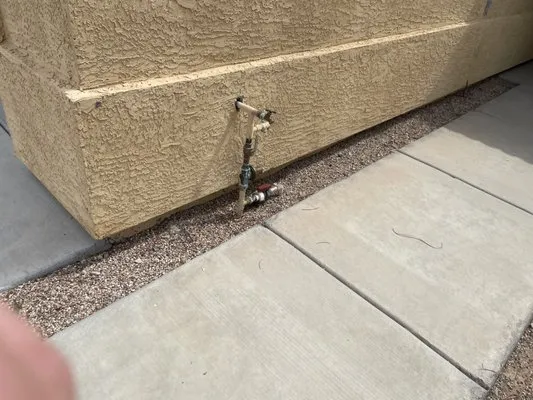 Timeless terrain Logo