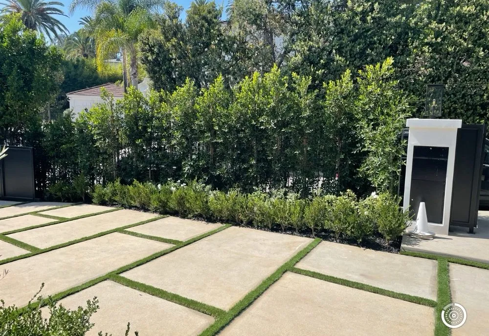Expert landscape design in Huntington Beach, CA - Timeless Terrains
