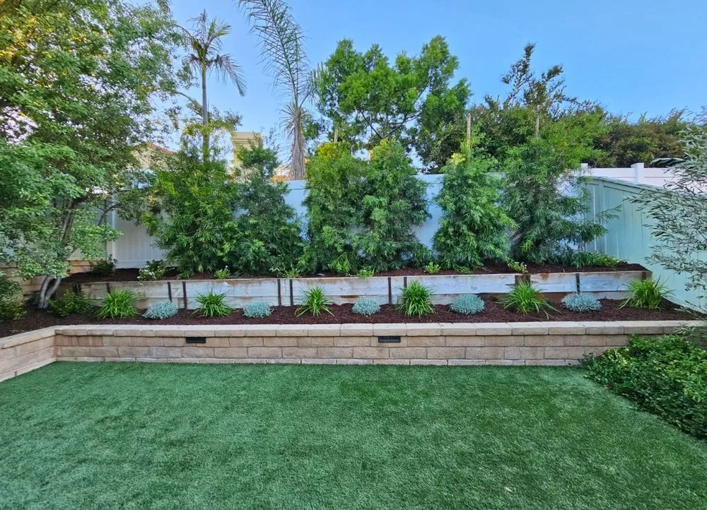 Trusted yard maintenance experts serving Huntington Beach, CA - Timeless Terrains