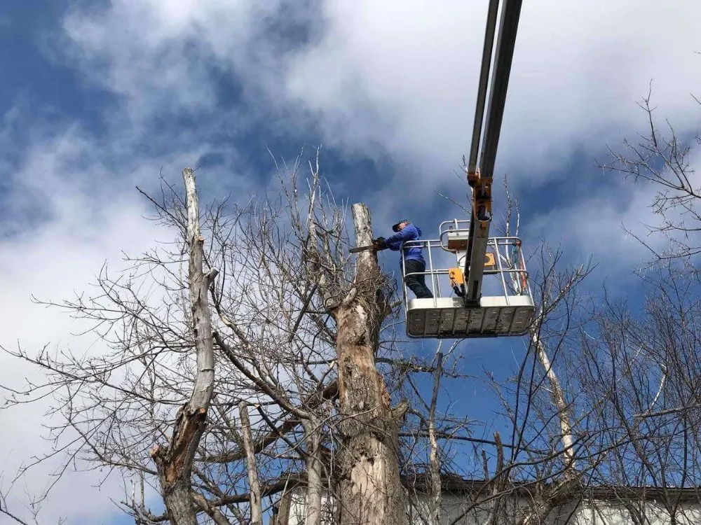 Custom residential landscaping near you across Royalton, MN - Timeless Tree and Lawn Care