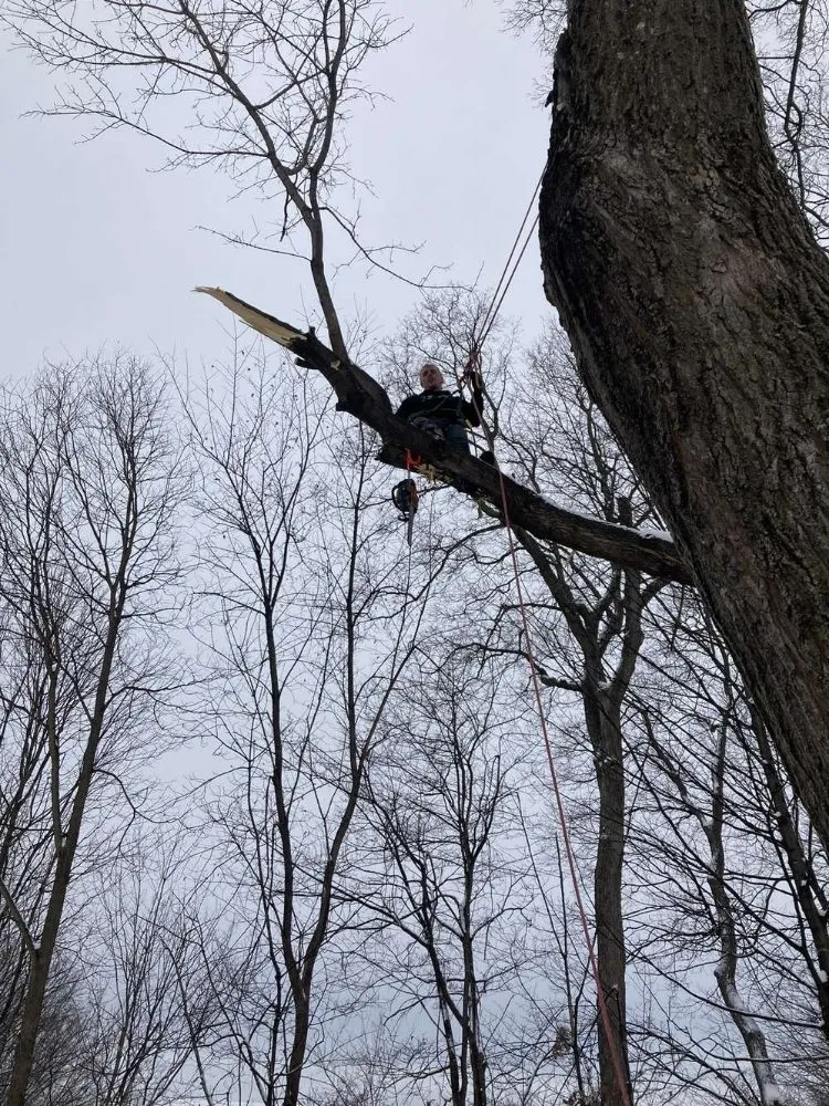 Local garden landscaping experts serving Royalton, MN - Timeless Tree and Lawn Care