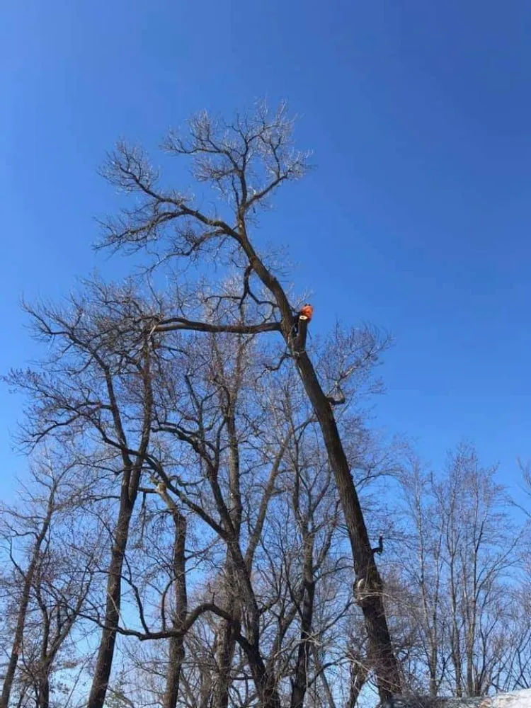 Reliable garden landscaping for outdoor upgrades across Royalton, MN - Timeless Tree and Lawn Care