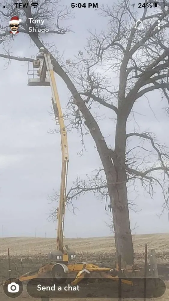 Professional landscape design in Royalton, MN - Timeless Tree and Lawn Care