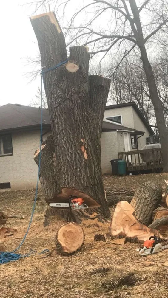 Local landscaping services for beautiful yards in Royalton, MN by Timeless Tree and Lawn Care