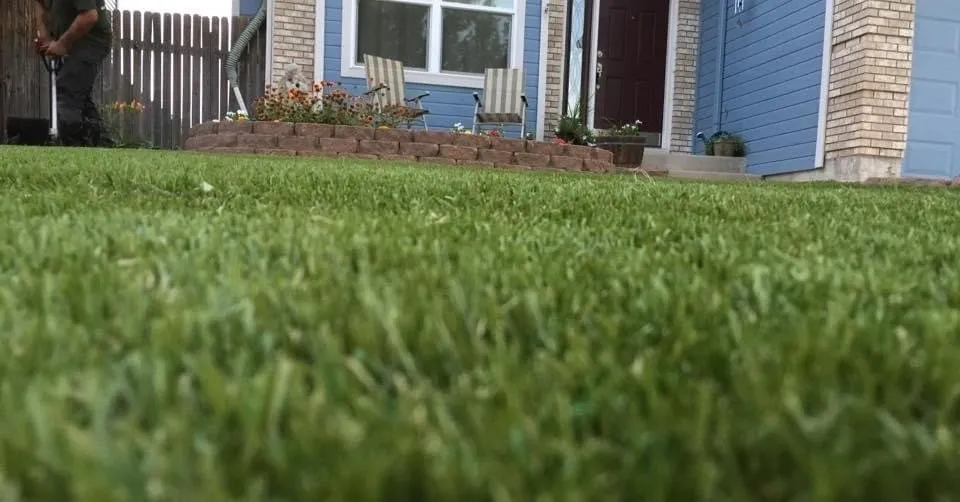 Affordable garden landscaping for year-round maintenance across Colorado Springs, CO - Timeless Turf & Outdoors