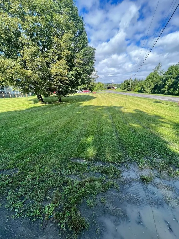 Top-rated landscaping services experts serving Berkshire, NY - Timeless Turfs Lawn Care