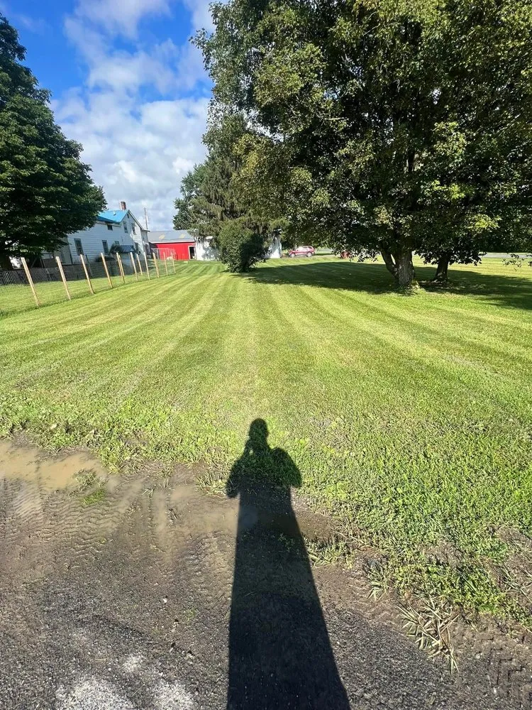 Custom yard maintenance for outdoor upgrades across Berkshire, NY - Timeless Turfs Lawn Care