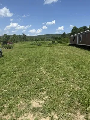 Timeless Turfs Lawn Care