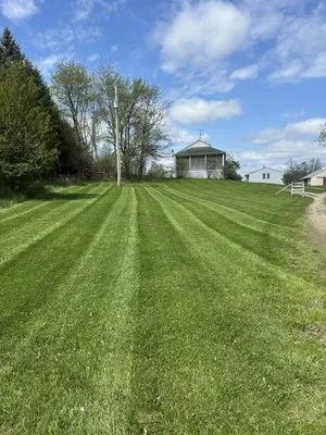 Timelines Lawn Service