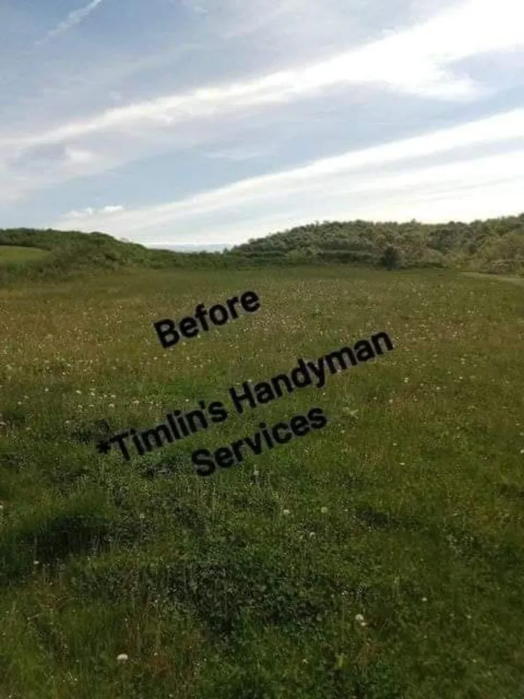 Affordable lawn care service in Turtle Creek, PA by Timlin's Handyman Services