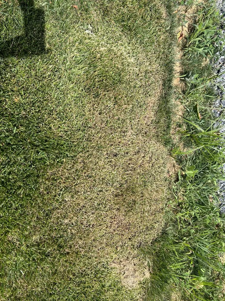 Reliable outdoor landscaping with custom design in Orrstown, PA by Timmons Supreme Service LLC